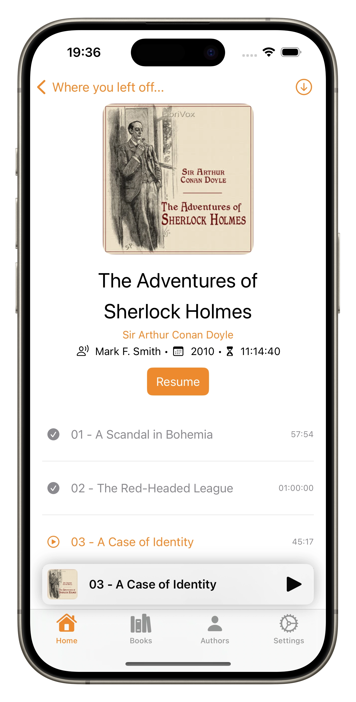 Screenshot showing the detail view of an audiobook